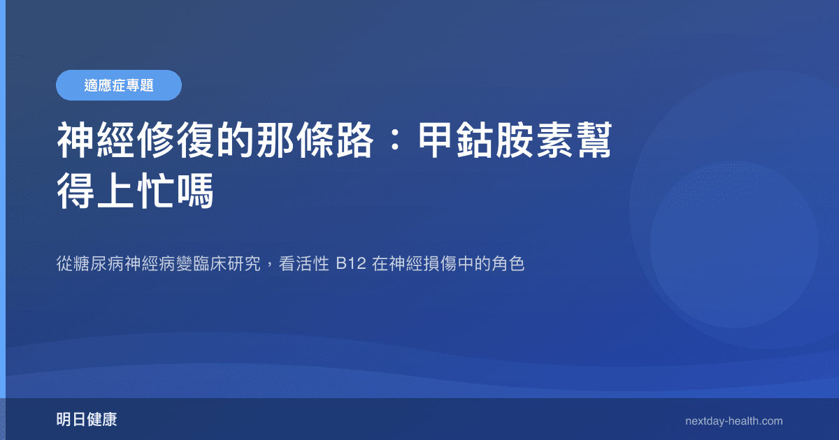 神經修復的那條路：甲鈷胺素幫得上忙嗎