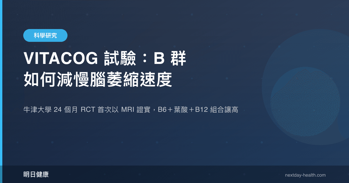 VITACOG 試驗：B 群如何減慢腦萎縮速度