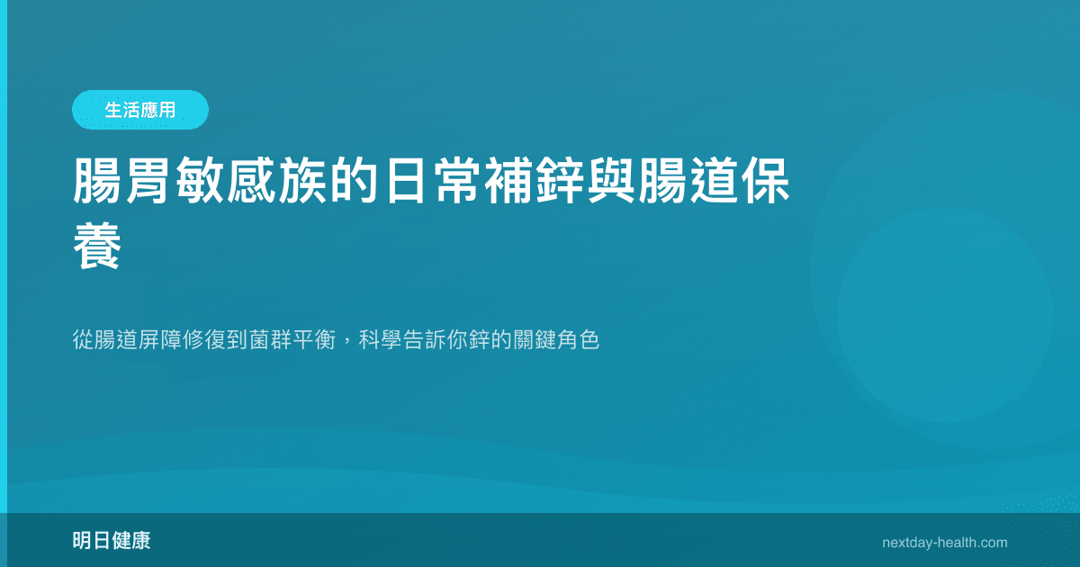 腸胃敏感族的日常補鋅與腸道保養