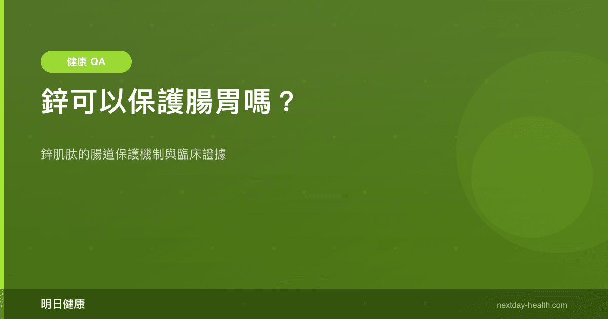 鋅可以保護腸胃嗎？